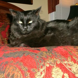 Meet your Posher, Mary